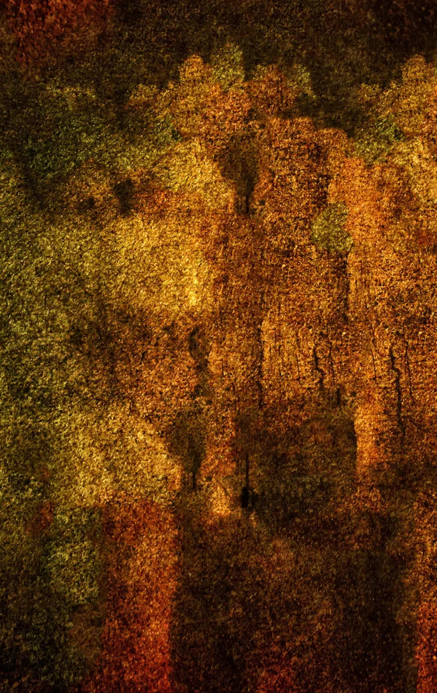 Iron Age Oxide 10X16 Ultracloth ( 120 X 192 Inch ) Backdrop