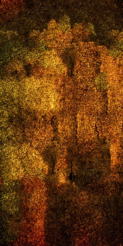 Iron Age Oxide 10X20 Ultracloth ( 120 X 240 Inch ) Backdrop