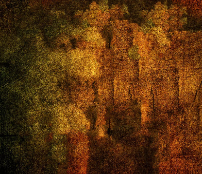 Iron Age Oxide 12X10 Ultracloth ( 144 X 120 Inch ) Backdrop