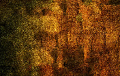 Iron Age Oxide 16X10 Ultracloth ( 192 X 120 Inch ) Backdrop