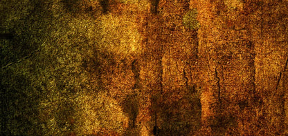 Iron Age Oxide 16X8 Ultracloth ( 192 X 96 Inch ) Backdrop
