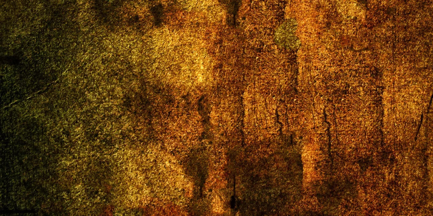 Iron Age Oxide 20X10 Ultracloth ( 240 X 120 Inch ) Backdrop