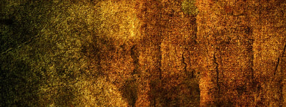 Iron Age Oxide 20X8 Ultracloth ( 240 X 96 Inch ) Backdrop