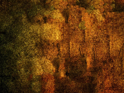 Iron Age Oxide 68X5 Fleece ( 80 X 60 Inch ) Backdrop