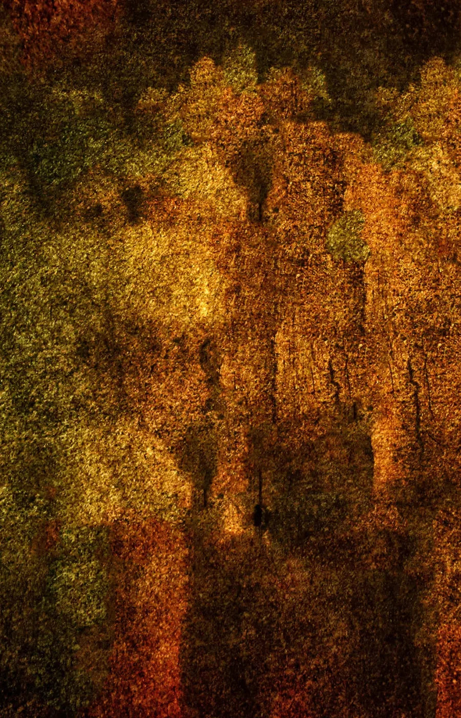 Iron Age Oxide 8X12 Ultracloth ( 96 X 144 Inch ) Backdrop