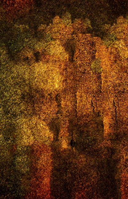 Iron Age Oxide 8X12 Ultracloth ( 96 X 144 Inch ) Backdrop