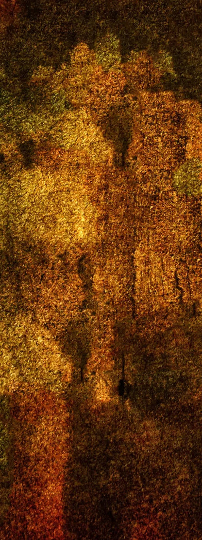 Iron Age Oxide 8X20 Ultracloth ( 96 X 240 Inch ) Backdrop