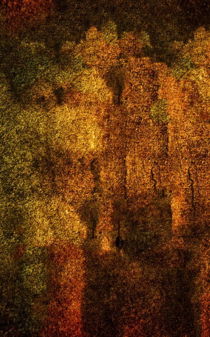 Iron Age Oxide 9X14 Ultracloth ( 108 X 168 Inch ) Backdrop