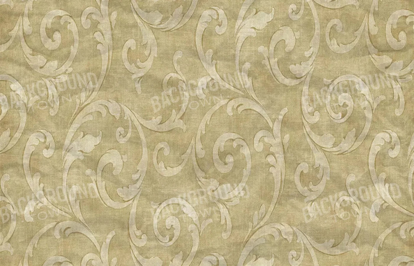 Italia 12X8 Ultracloth ( 144 X 96 Inch ) Backdrop