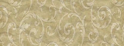 Italia 20X8 Ultracloth ( 240 X 96 Inch ) Backdrop