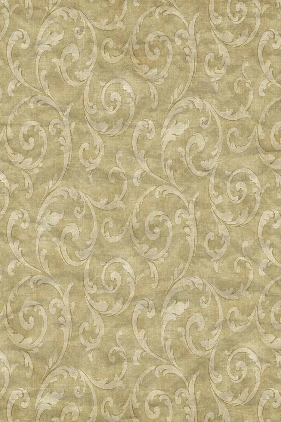 Italia 5X8 Ultracloth ( 60 X 96 Inch ) Backdrop