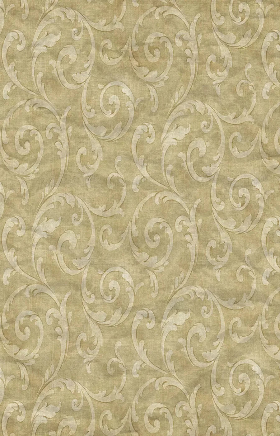 Italia 8X12 Ultracloth ( 96 X 144 Inch ) Backdrop