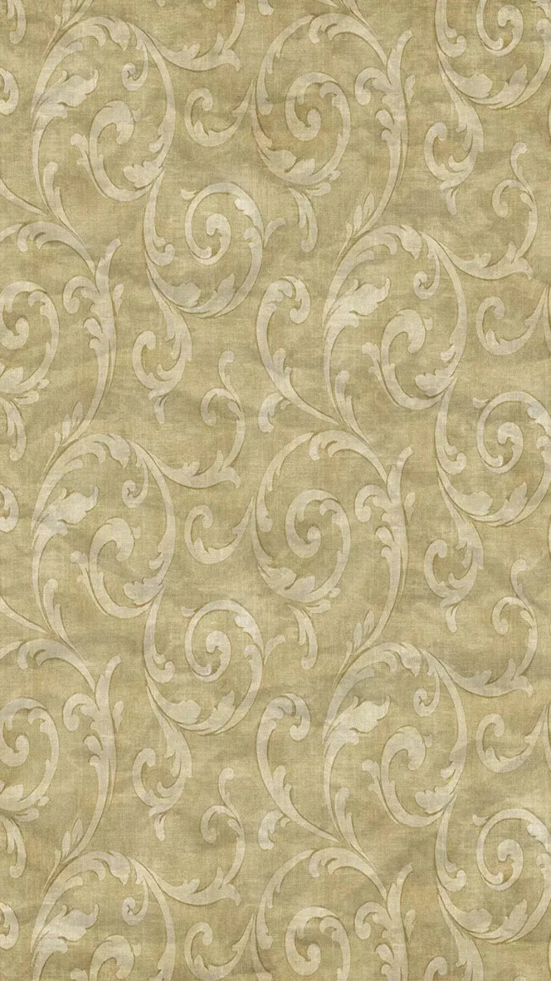 Italia 8X14 Ultracloth ( 96 X 168 Inch ) Backdrop