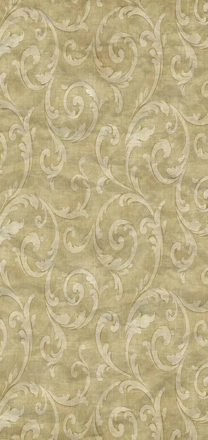 Italia 8X16 Ultracloth ( 96 X 192 Inch ) Backdrop