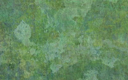 Jaded 14X9 Ultracloth ( 168 X 108 Inch ) Backdrop
