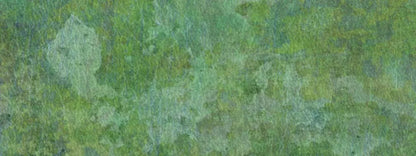 Jaded 20X8 Ultracloth ( 240 X 96 Inch ) Backdrop