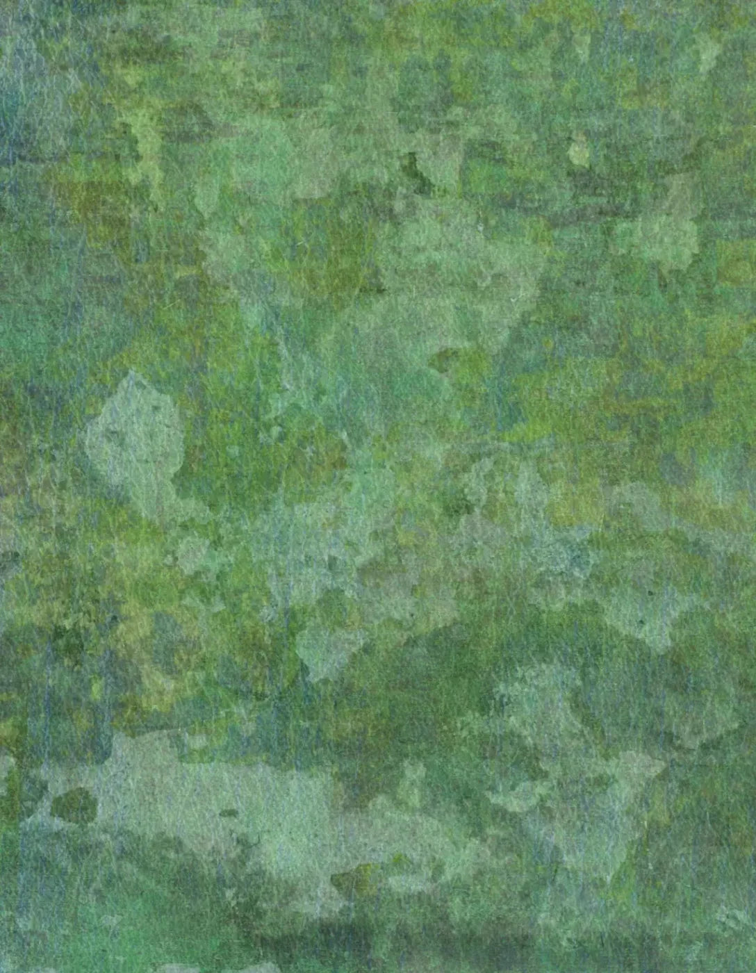 Jaded 6X8 Fleece ( 72 X 96 Inch ) Backdrop