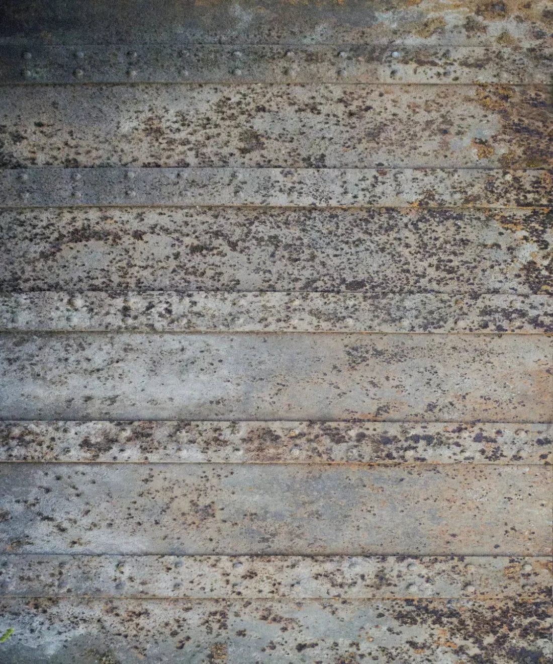 Beige Steel and Metal Backdrop for Photography