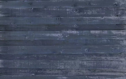 Jake 14X9 Ultracloth ( 168 X 108 Inch ) Backdrop