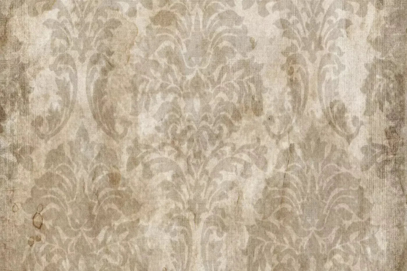Jamie 8X5 Ultracloth ( 96 X 60 Inch ) Backdrop