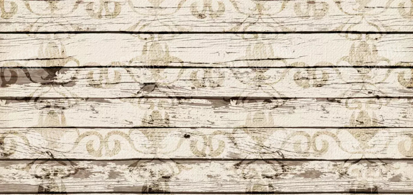 Jane 16’X8’ Ultracloth (192 X 96 Inch) Backdrop