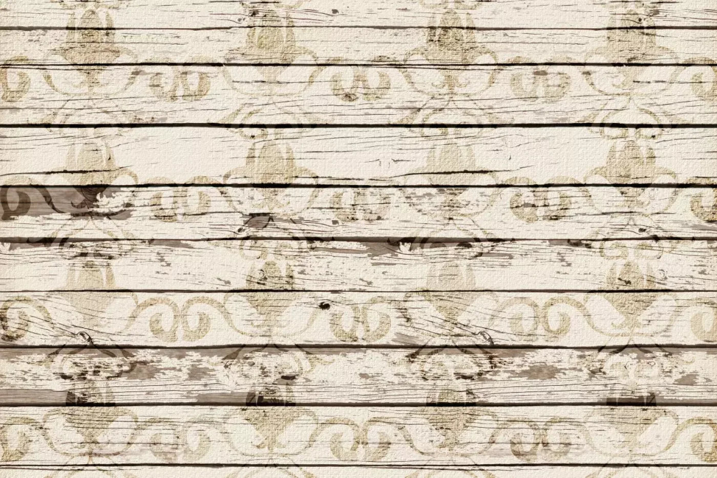 Jane Backdrop