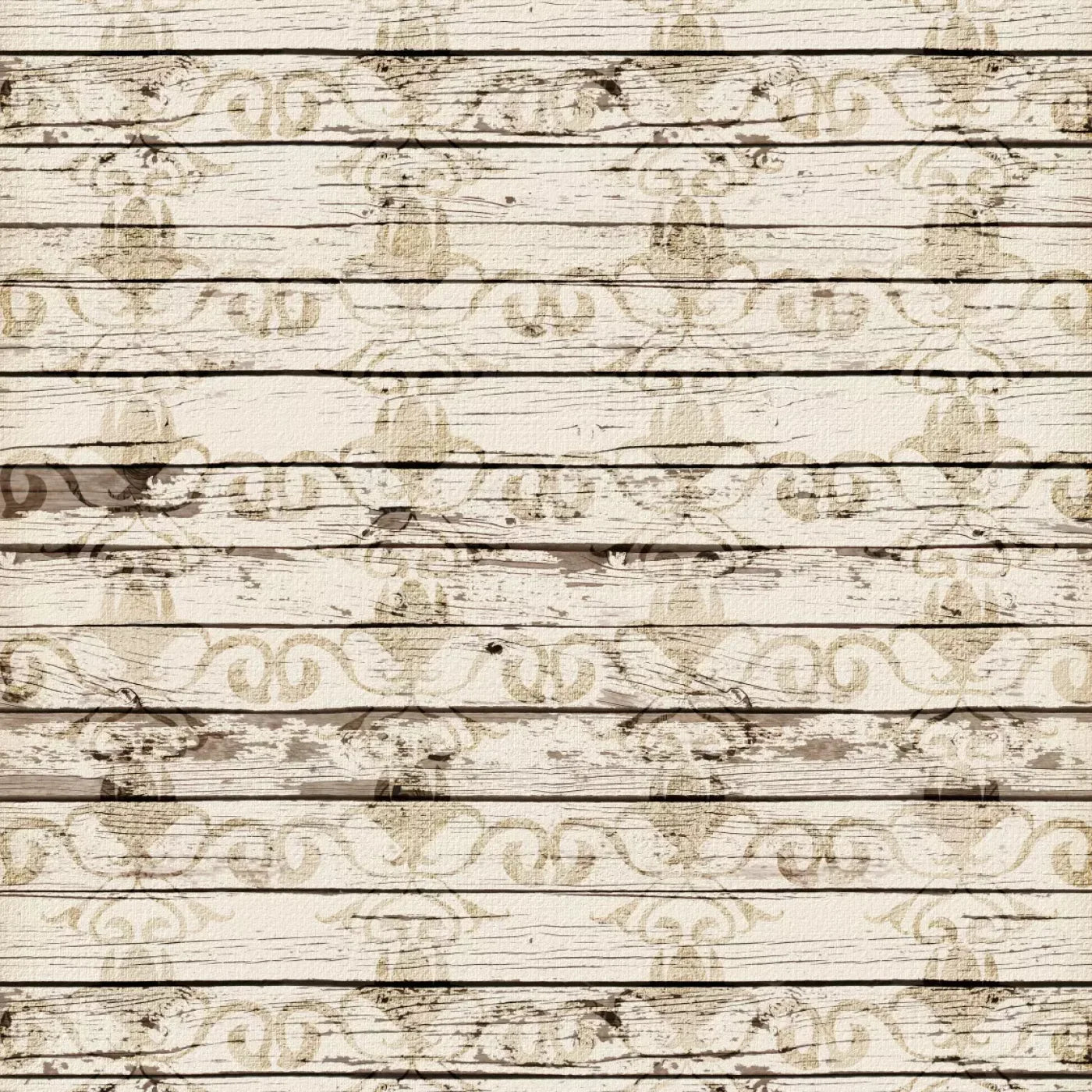 Jane Backdrop