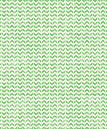Green Pattern Backdrop for Photography
