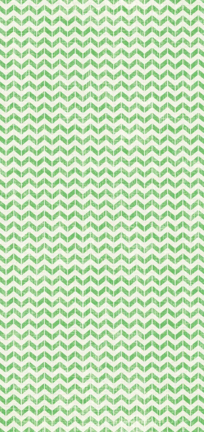 Jay 8X16 Ultracloth ( 96 X 192 Inch ) Backdrop