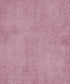 Pink Pattern Backdrop for Photography