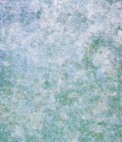 Jenna 10X12 Ultracloth ( 120 X 144 Inch ) Backdrop