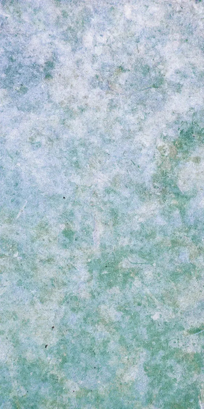 Jenna 10X20 Ultracloth ( 120 X 240 Inch ) Backdrop
