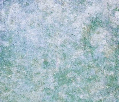 Jenna 12X10 Ultracloth ( 144 X 120 Inch ) Backdrop