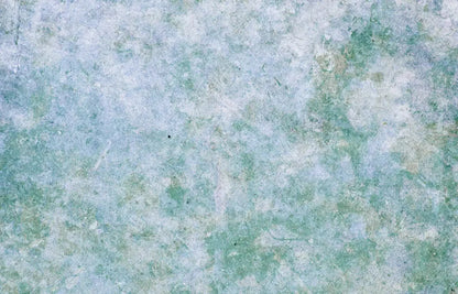 Jenna 12X8 Ultracloth ( 144 X 96 Inch ) Backdrop