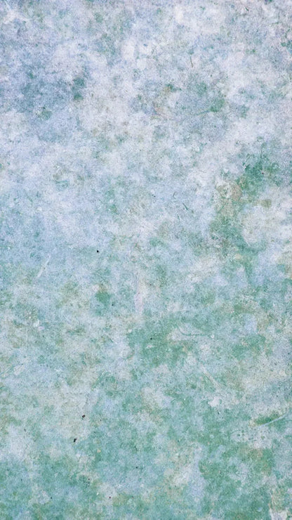 Jenna 8X14 Ultracloth ( 96 X 168 Inch ) Backdrop