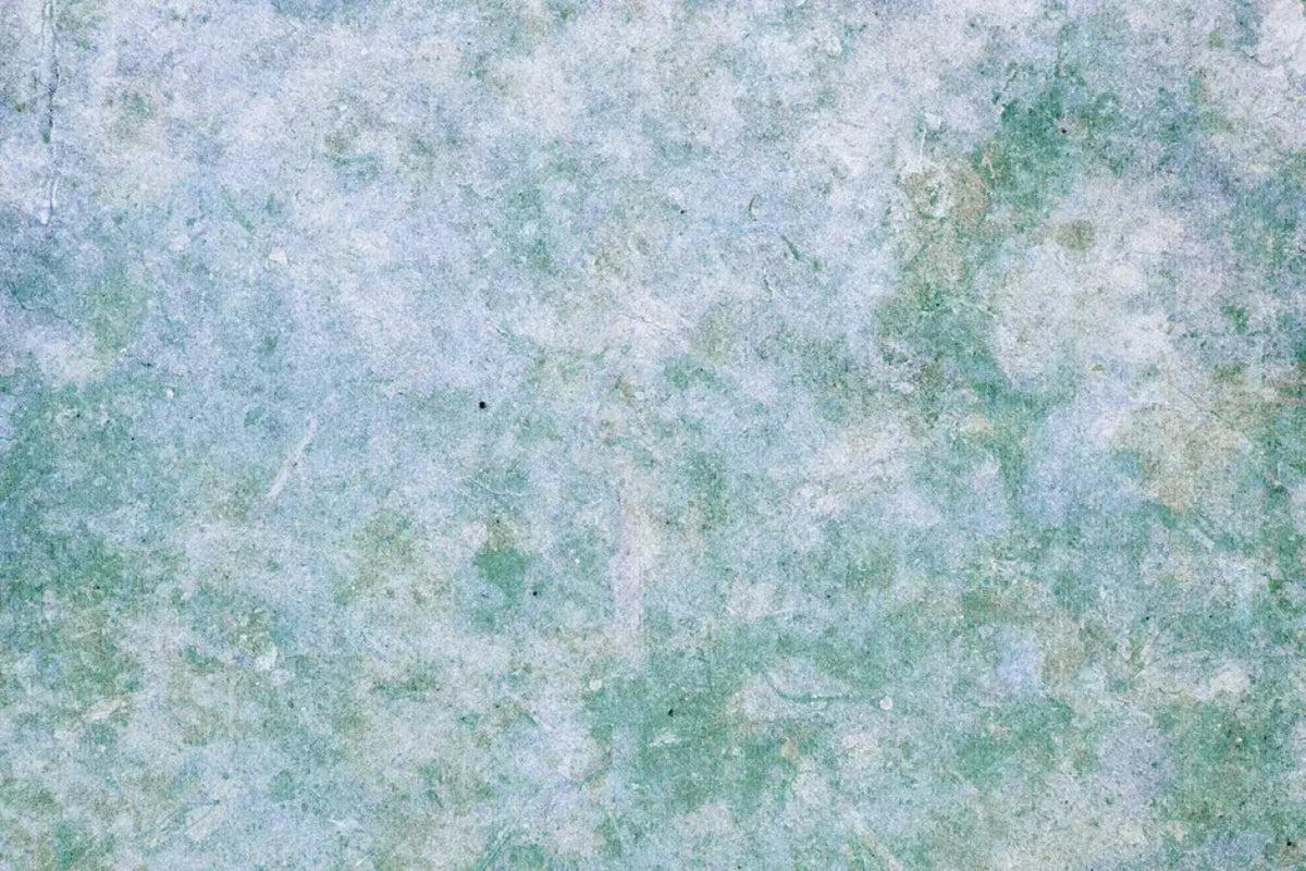 Jenna Backdrop