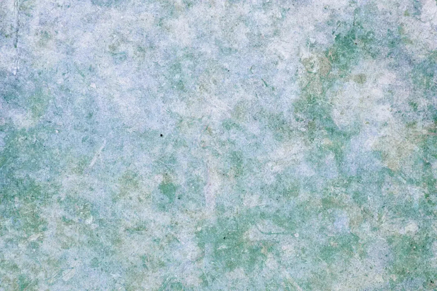 Jenna Backdrop