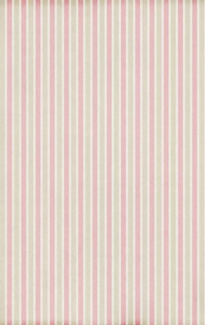 Jennalyn 10X16 Ultracloth ( 120 X 192 Inch ) Backdrop