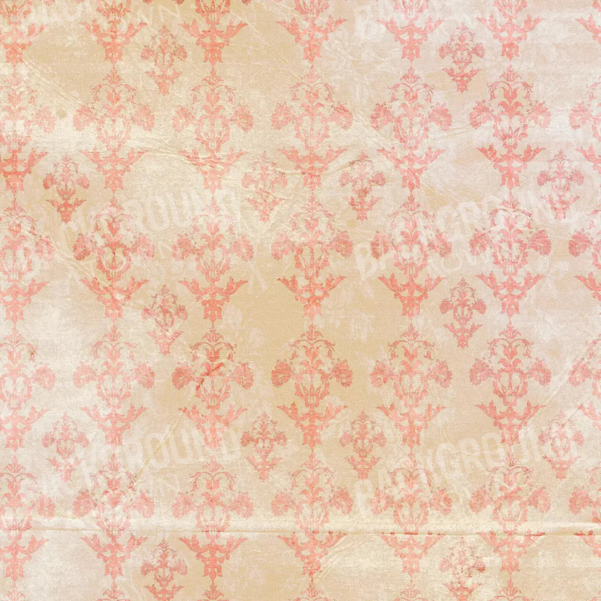 Jenny 10X10 Ultracloth ( 120 X Inch ) Backdrop