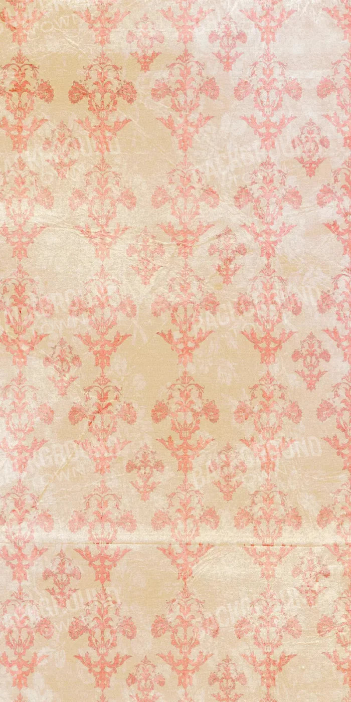 Jenny 10X20 Ultracloth ( 120 X 240 Inch ) Backdrop