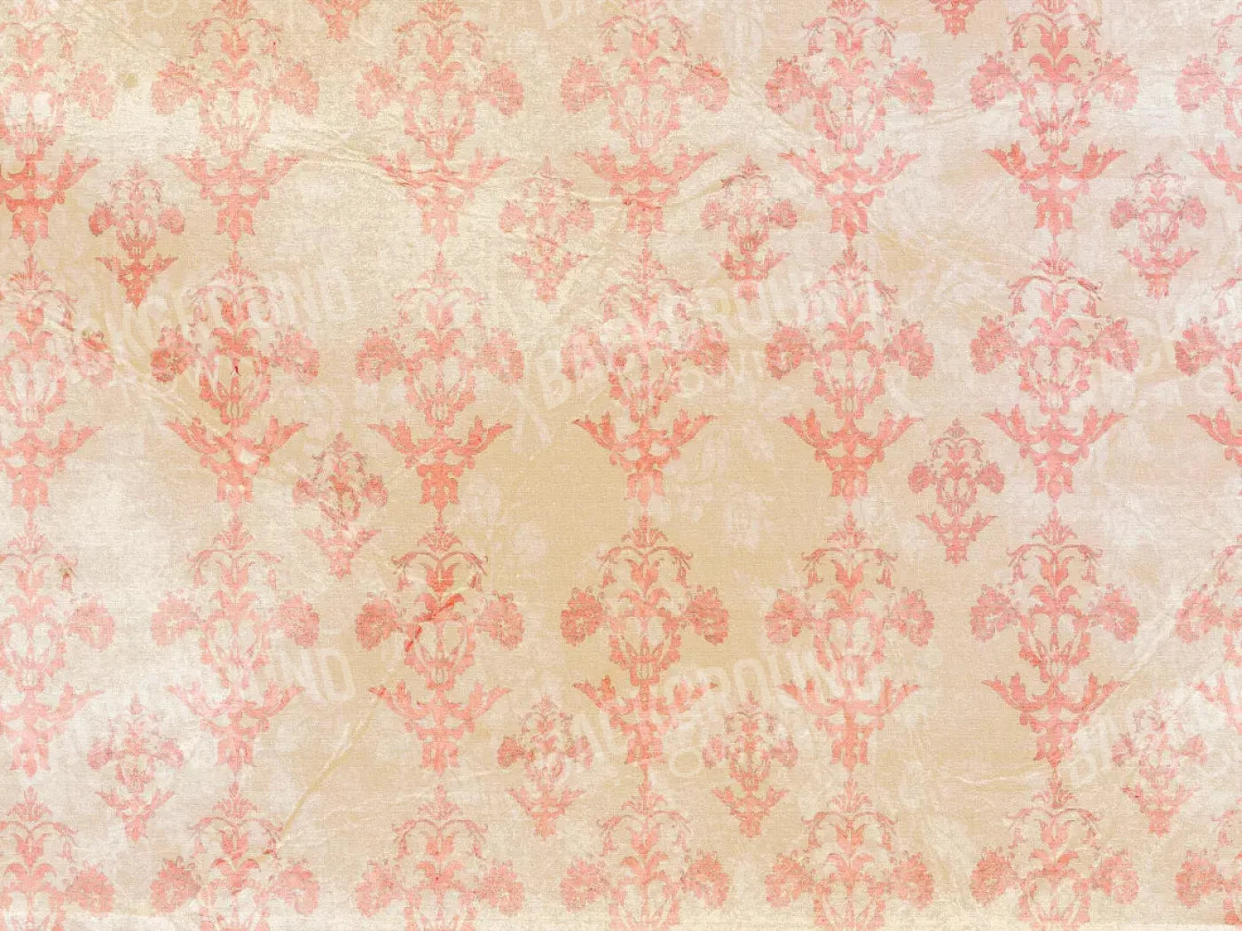 Jenny 10X8 Fleece ( 120 X 96 Inch ) Backdrop