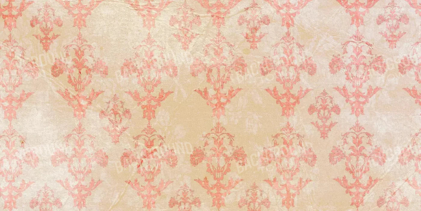 Jenny 20X10 Ultracloth ( 240 X 120 Inch ) Backdrop