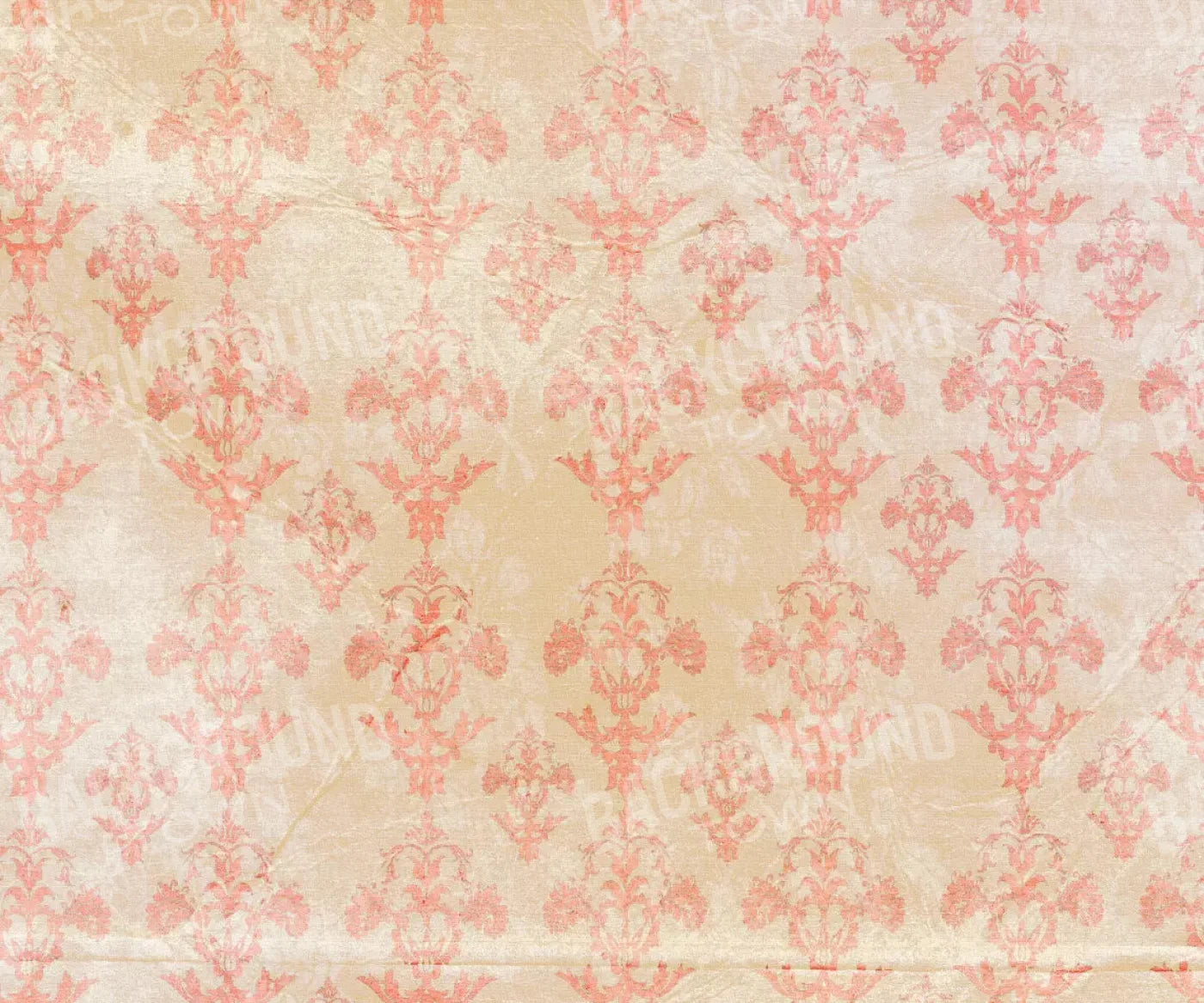 Jenny 5X42 Fleece ( 60 X 50 Inch ) Backdrop