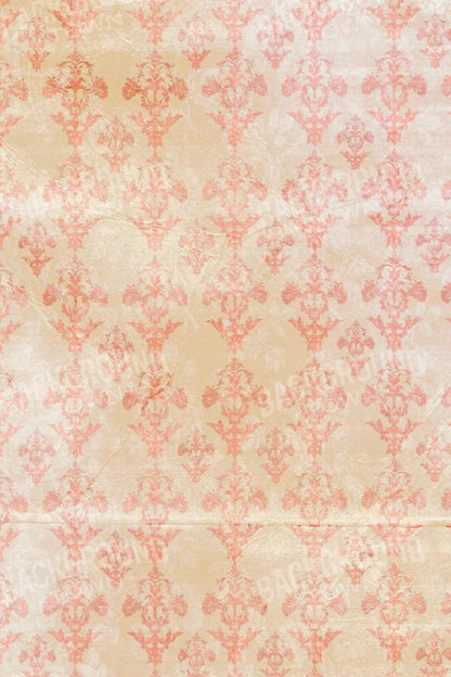 Jenny 5X8 Ultracloth ( 60 X 96 Inch ) Backdrop