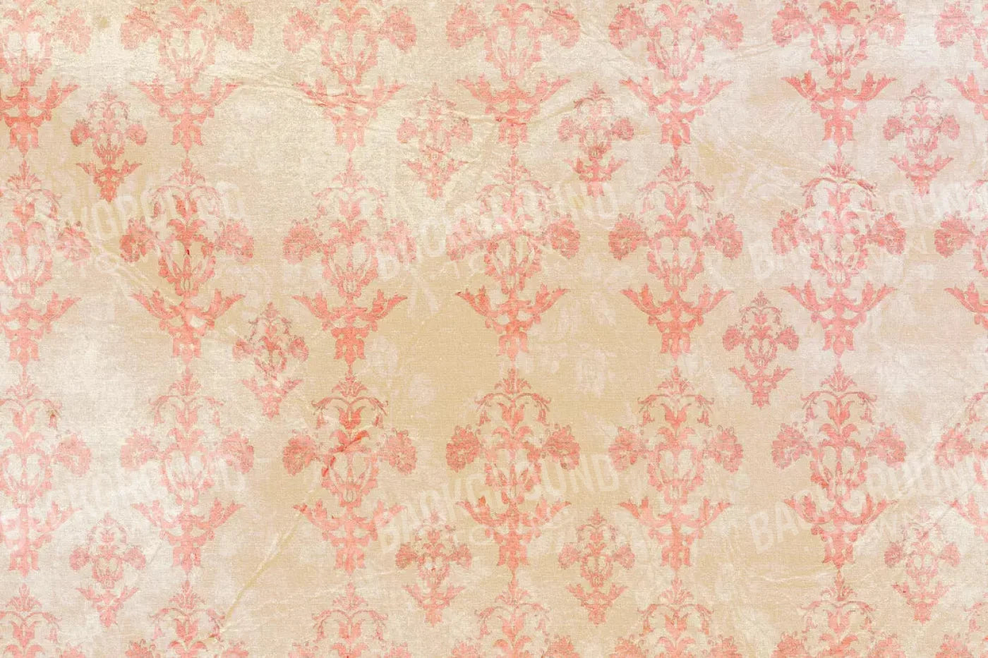 Jenny 8X5 Ultracloth ( 96 X 60 Inch ) Backdrop