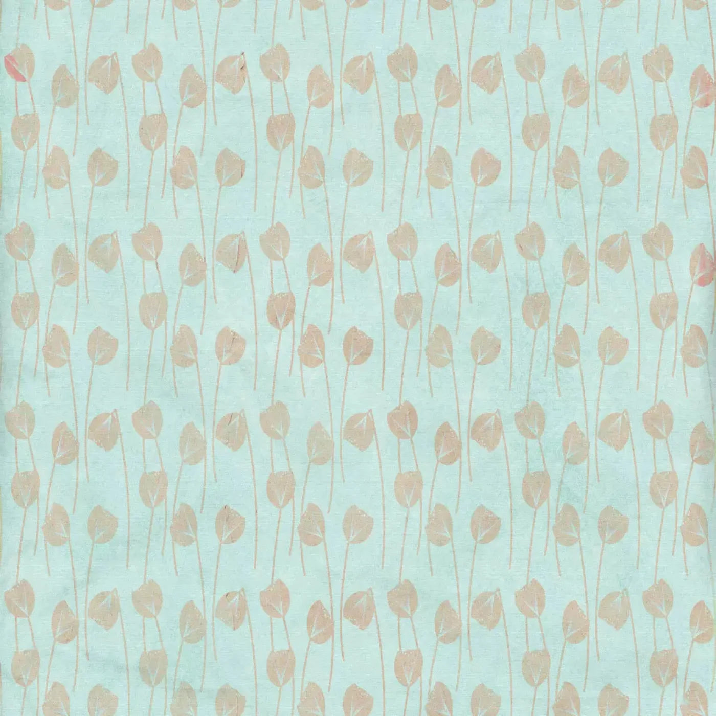 Jillian Backdrop