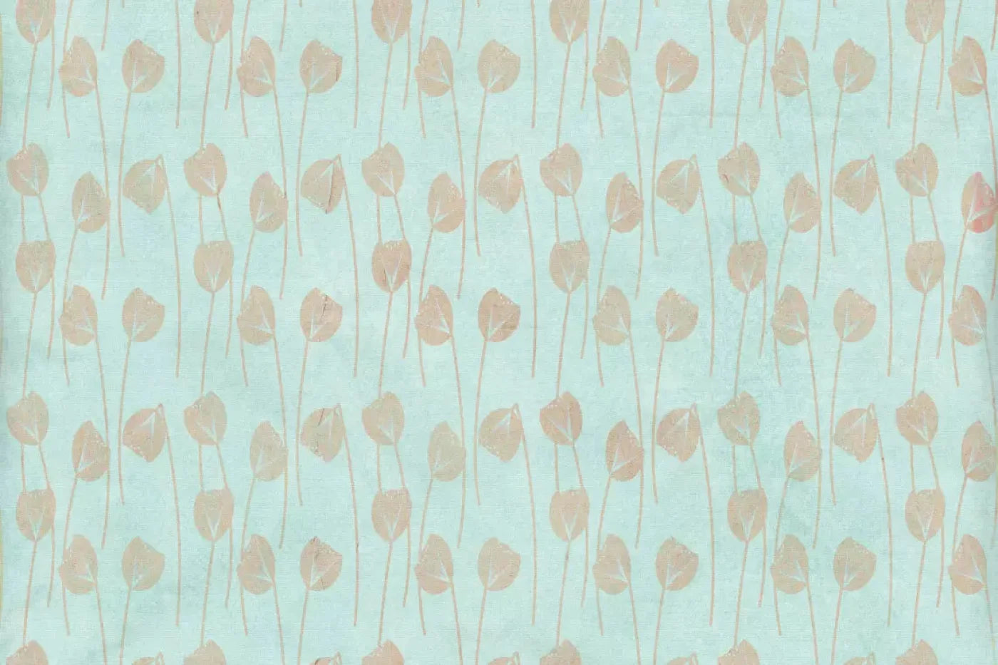 Jillian Backdrop