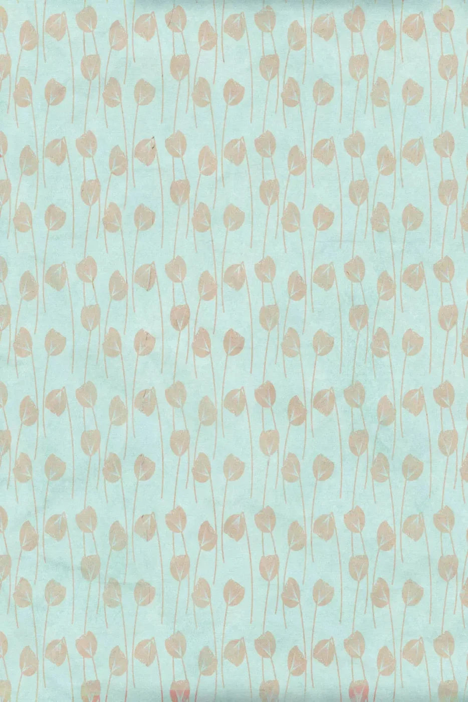 Jillian Backdrop