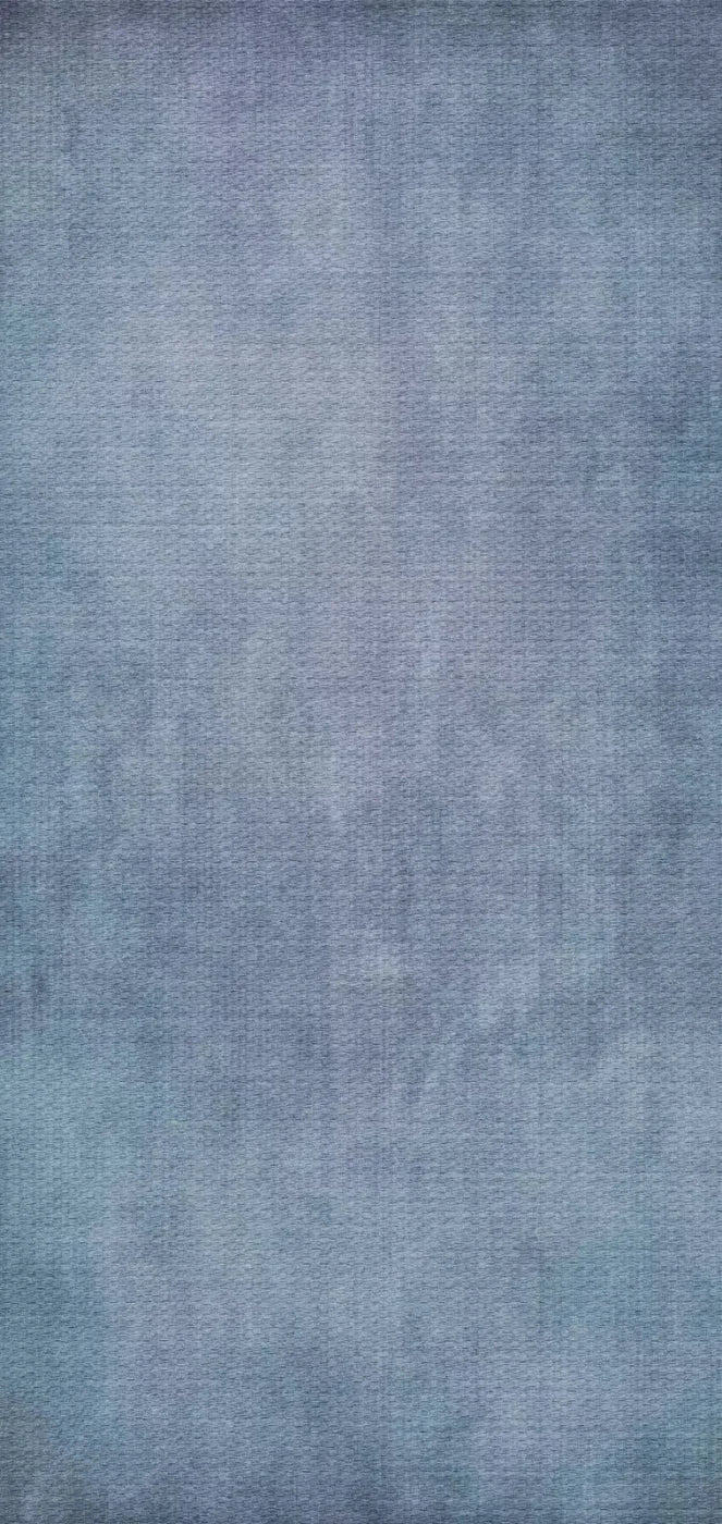 Jose 8X16 Ultracloth ( 96 X 192 Inch ) Backdrop