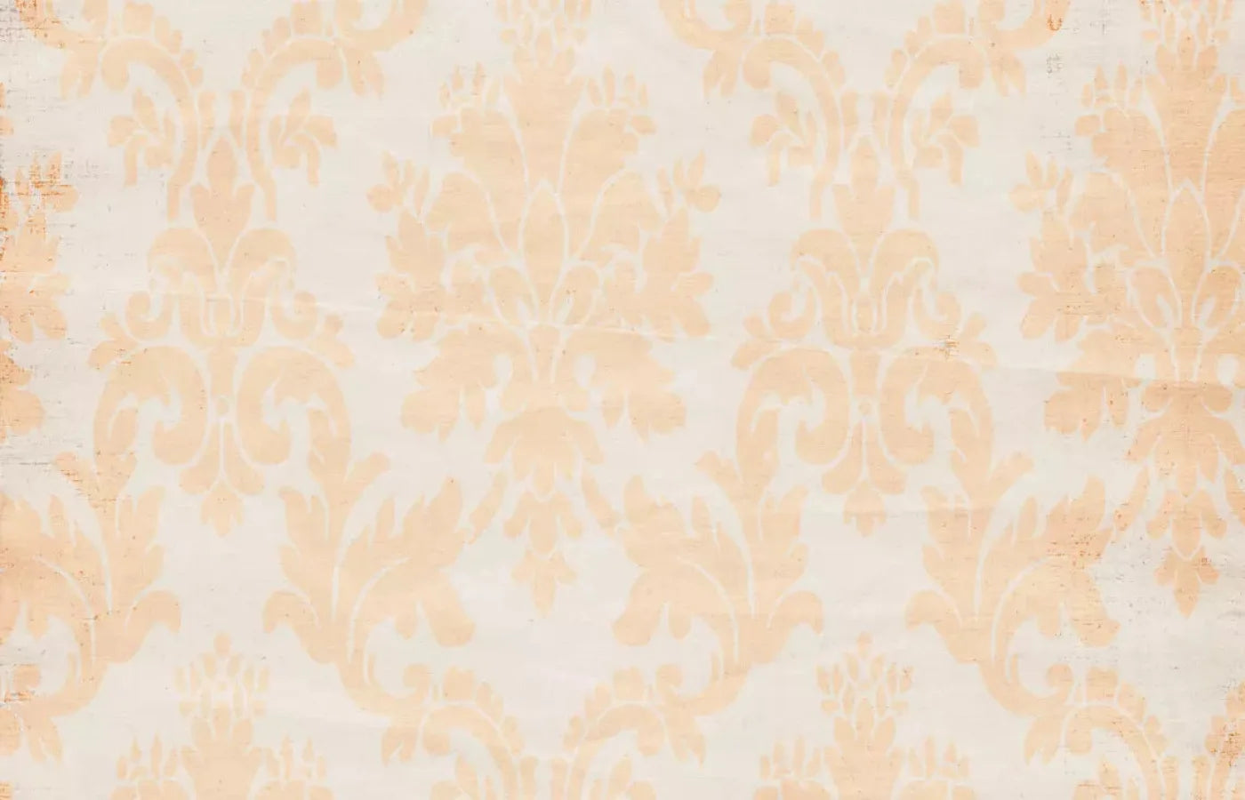 Josie 12X8 Ultracloth ( 144 X 96 Inch ) Backdrop